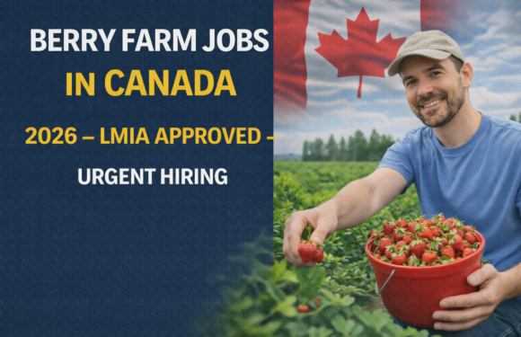 Berry Farm Jobs in Canada 2026 – LMIA Approved