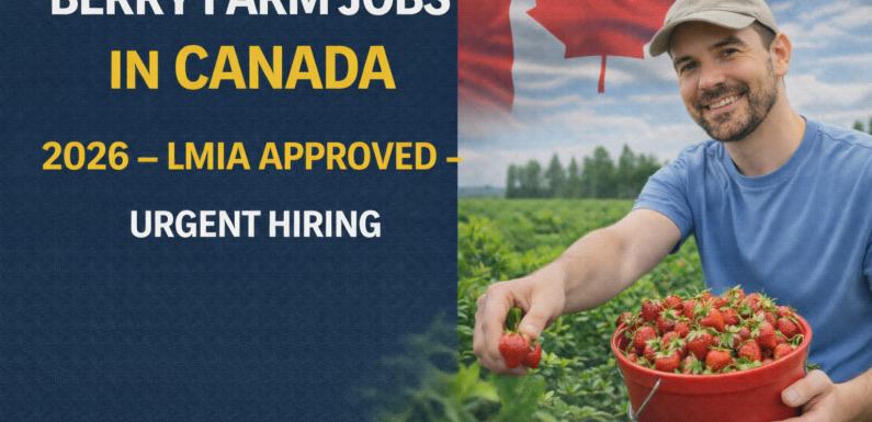 Berry Farm Jobs in Canada 2026 – LMIA Approved