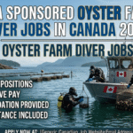 Oyster Farm Diver