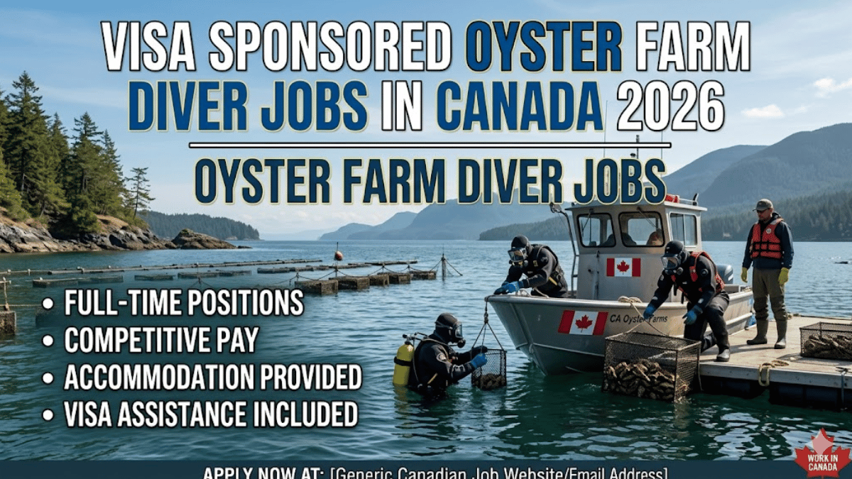 Oyster Farm Diver