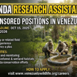 Anaconda Research