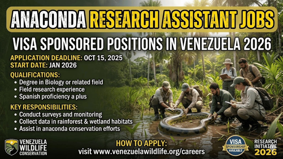 Anaconda Research