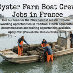 Oyster Farm